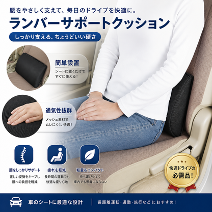 2WAY シートオーガナイザー＆ランバーサポートクッション